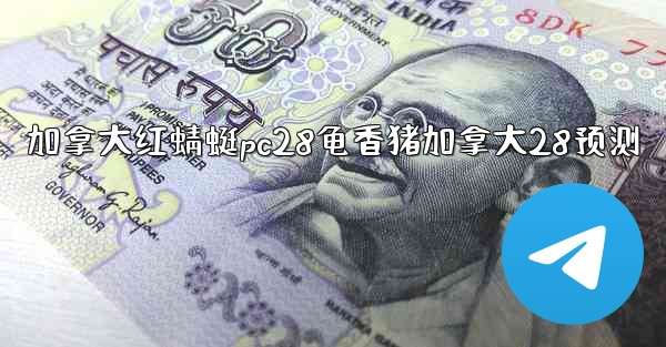 加拿大红蜻蜓pc28龟香猪加拿大28预测