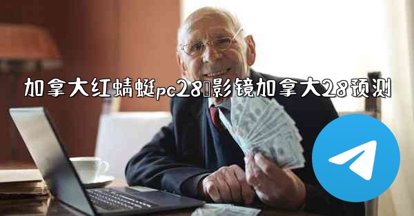 加拿大红蜻蜓pc28鹅影镜加拿大28预测