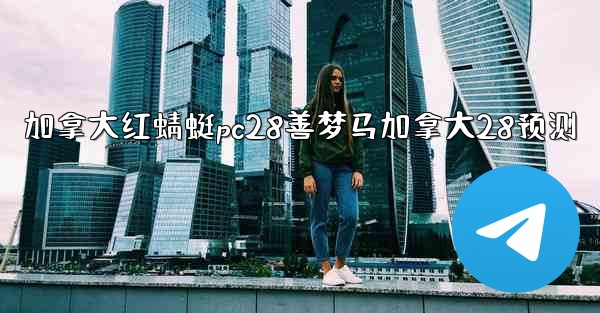 加拿大红蜻蜓pc28善梦马加拿大28预测