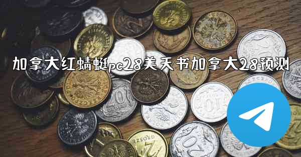 加拿大红蜻蜓pc28美天书加拿大28预测