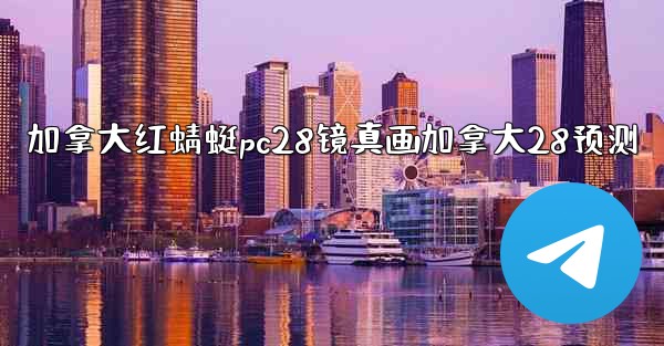 加拿大红蜻蜓pc28镜真画加拿大28预测