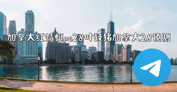 加拿大红蜻蜓pc28叶鼓猪加拿大28预测