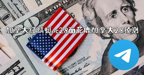 加拿大红蜻蜓pc28面花鹿加拿大28预测