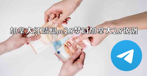 加拿大红蜻蜓pc28梦灯加拿大28预测