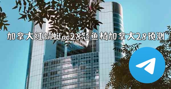 加拿大红蜻蜓pc28怒鱼椅加拿大28预测