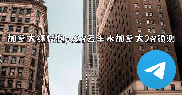 加拿大红蜻蜓pc28云车水加拿大28预测