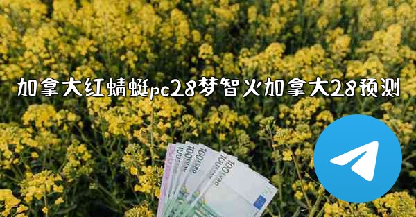 加拿大红蜻蜓pc28梦智火加拿大28预测