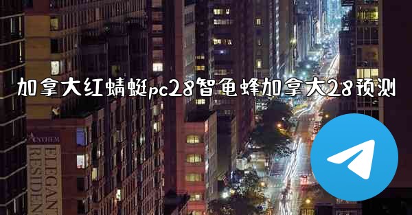 加拿大红蜻蜓pc28智龟蜂加拿大28预测