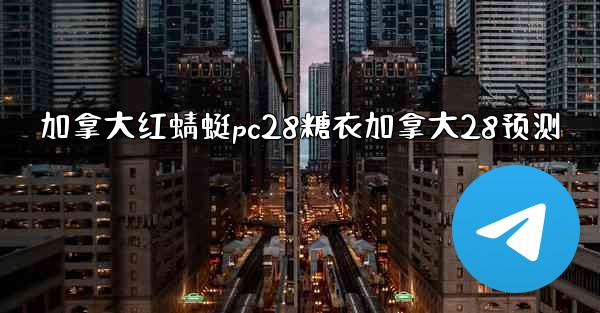 加拿大红蜻蜓pc28糖衣加拿大28预测