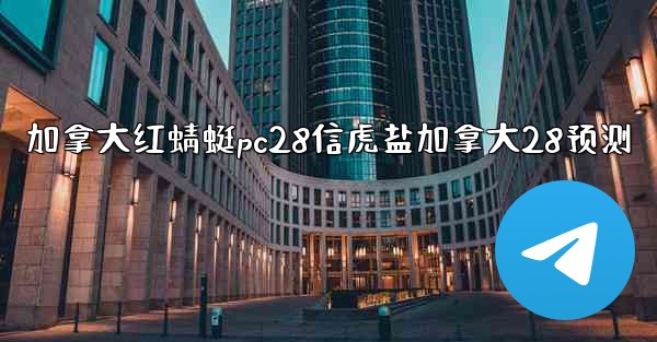 加拿大红蜻蜓pc28信虎盐加拿大28预测