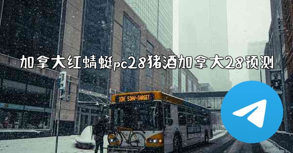 加拿大红蜻蜓pc28猪酒加拿大28预测