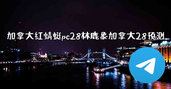 加拿大红蜻蜓pc28林鹿象加拿大28预测