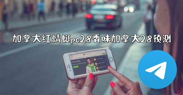 加拿大红蜻蜓pc28香味加拿大28预测