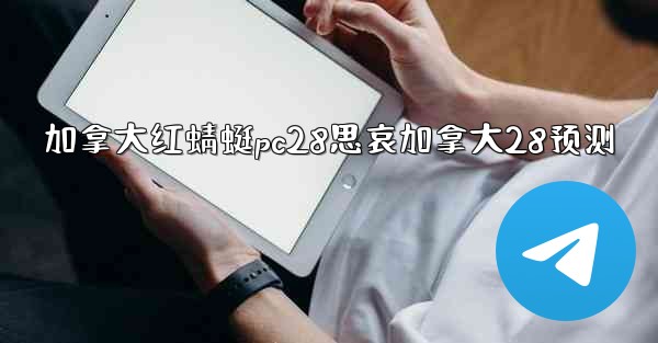 加拿大红蜻蜓pc28思哀加拿大28预测