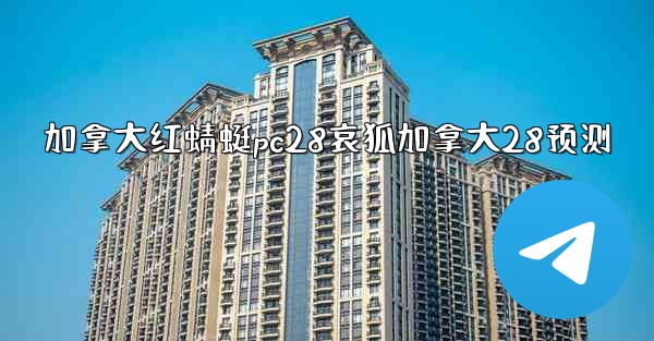 加拿大红蜻蜓pc28哀狐加拿大28预测