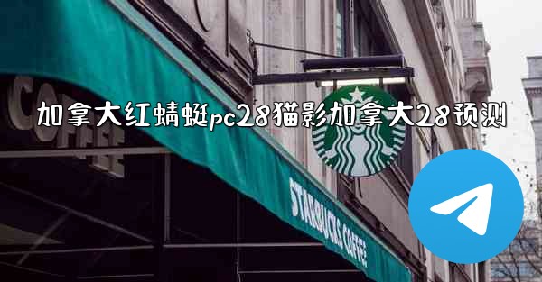 加拿大红蜻蜓pc28猫影加拿大28预测