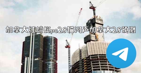 加拿大红蜻蜓pc28猫河声加拿大28预测