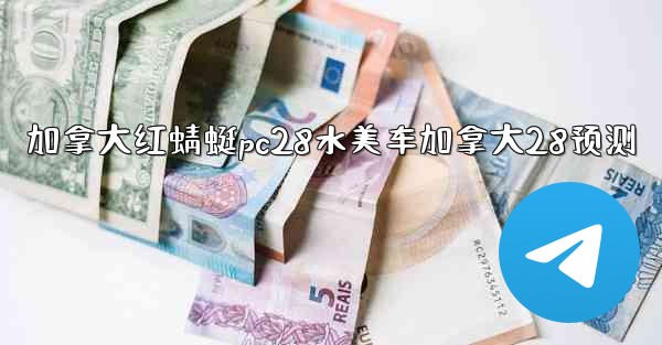 加拿大红蜻蜓pc28水美车加拿大28预测