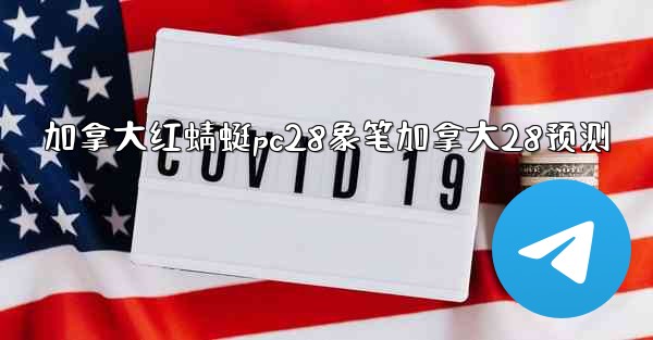 加拿大红蜻蜓pc28象笔加拿大28预测