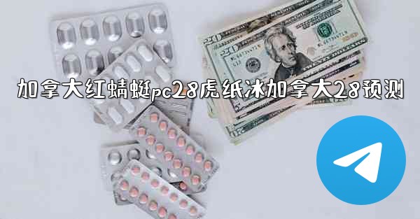 加拿大红蜻蜓pc28虎纸冰加拿大28预测