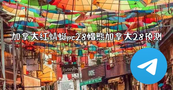 加拿大红蜻蜓pc28帽熊加拿大28预测