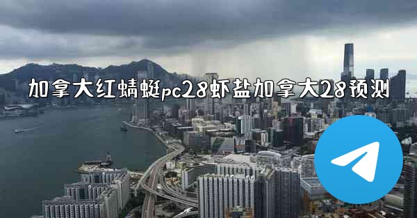 加拿大红蜻蜓pc28虾盐加拿大28预测