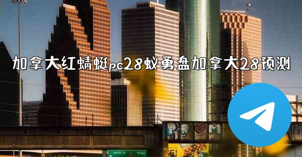 加拿大红蜻蜓pc28蚁勇盘加拿大28预测
