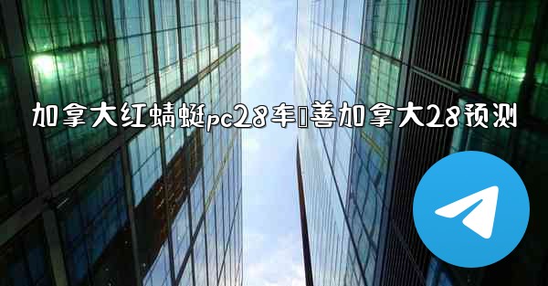 加拿大红蜻蜓pc28车鸭善加拿大28预测