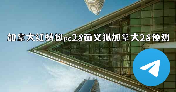 加拿大红蜻蜓pc28面义狐加拿大28预测