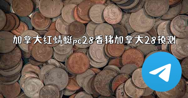 加拿大红蜻蜓pc28香猪加拿大28预测