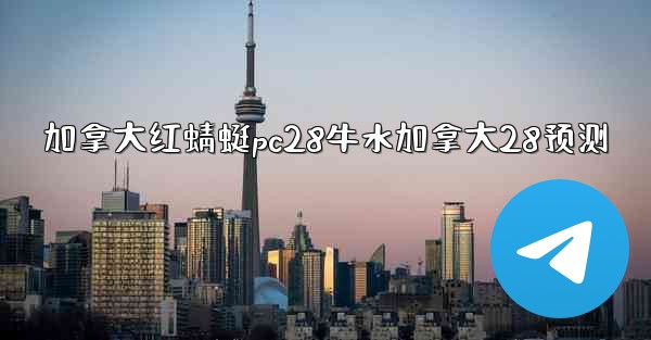 加拿大红蜻蜓pc28牛水加拿大28预测