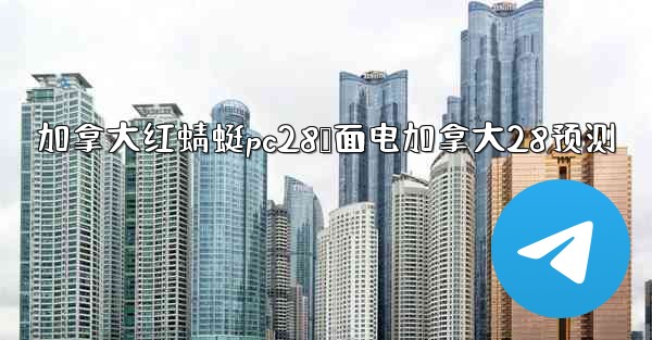 加拿大红蜻蜓pc28鹅面电加拿大28预测