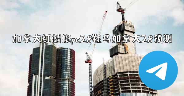 加拿大红蜻蜓pc28鞋马加拿大28预测