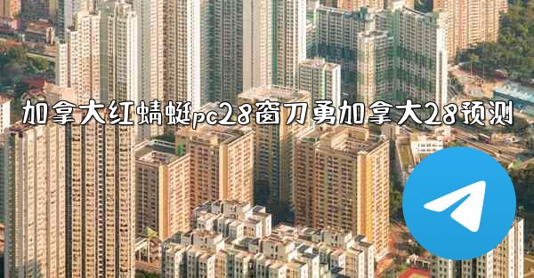 加拿大红蜻蜓pc28窗刀勇加拿大28预测