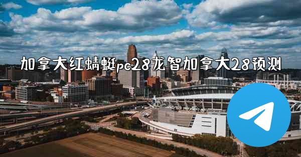 加拿大红蜻蜓pc28龙智加拿大28预测