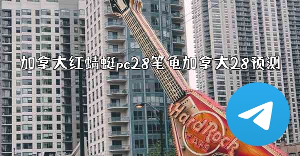 加拿大红蜻蜓pc28笔龟加拿大28预测