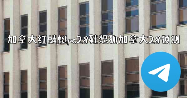 加拿大红蜻蜓pc28鞋想狐加拿大28预测