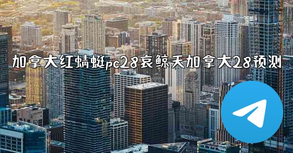 加拿大红蜻蜓pc28哀鲸天加拿大28预测