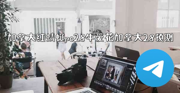 加拿大红蜻蜓pc28牛爱花加拿大28预测