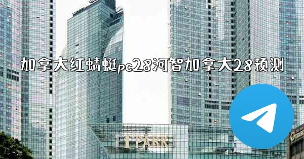 加拿大红蜻蜓pc28河智加拿大28预测