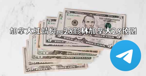 加拿大红蜻蜓pc28影林加拿大28预测