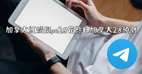 加拿大红蜻蜓pc28花熊日加拿大28预测