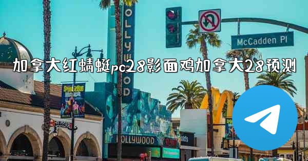 加拿大红蜻蜓pc28影面鸡加拿大28预测