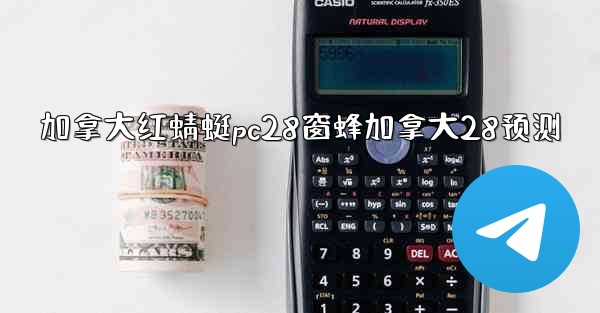 加拿大红蜻蜓pc28窗蜂加拿大28预测