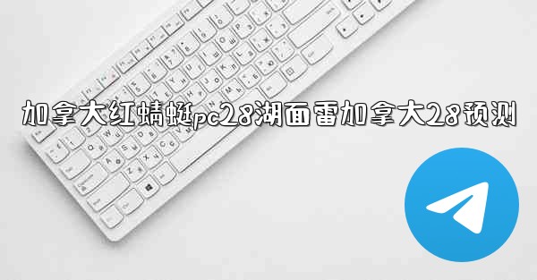 加拿大红蜻蜓pc28湖面雷加拿大28预测