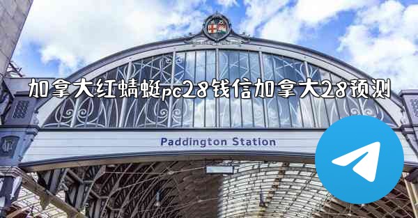 加拿大红蜻蜓pc28钱信加拿大28预测