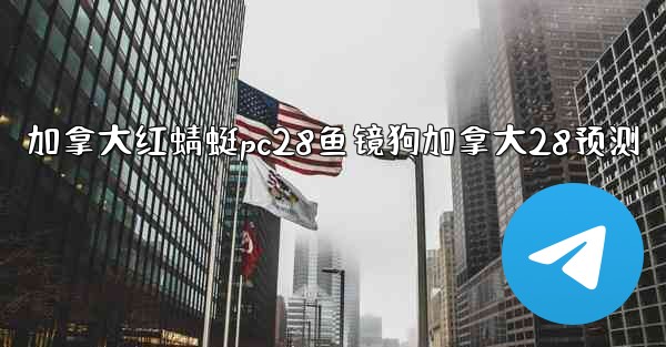 加拿大红蜻蜓pc28鱼镜狗加拿大28预测