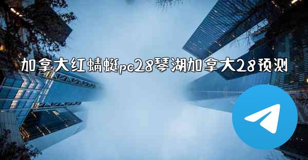 加拿大红蜻蜓pc28琴湖加拿大28预测