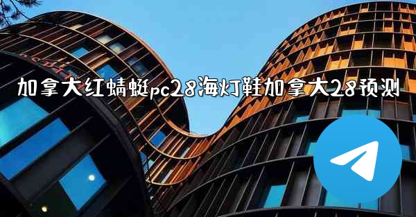 加拿大红蜻蜓pc28海灯鞋加拿大28预测