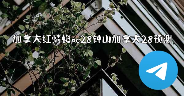 加拿大红蜻蜓pc28钟山加拿大28预测
